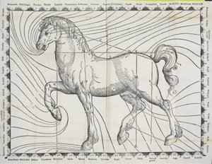 从早期的书在马饲养的一匹马的献血点图，1570年 作者 乔瓦尼·巴蒂斯塔·费拉罗